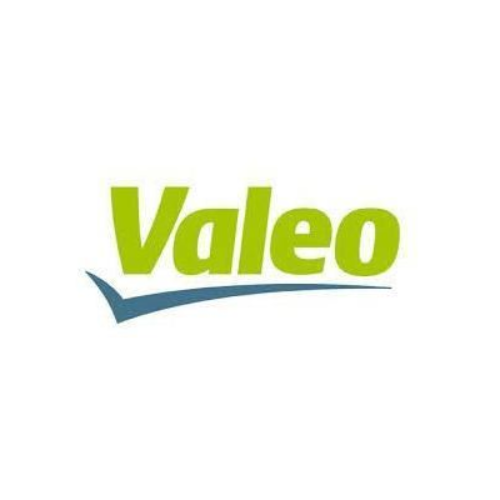 Valeo vision