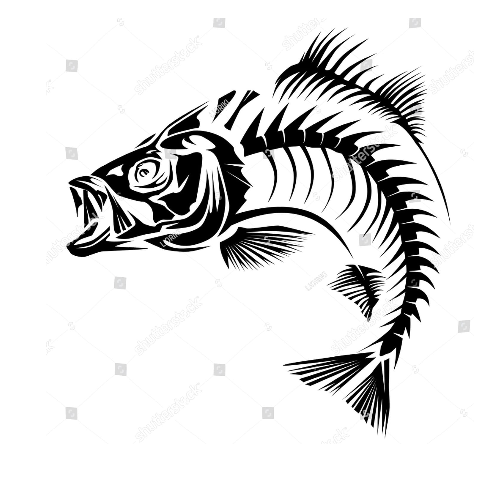 PECHE NATURE