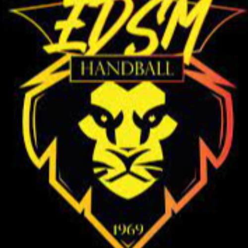 EDSM HANDBALL
