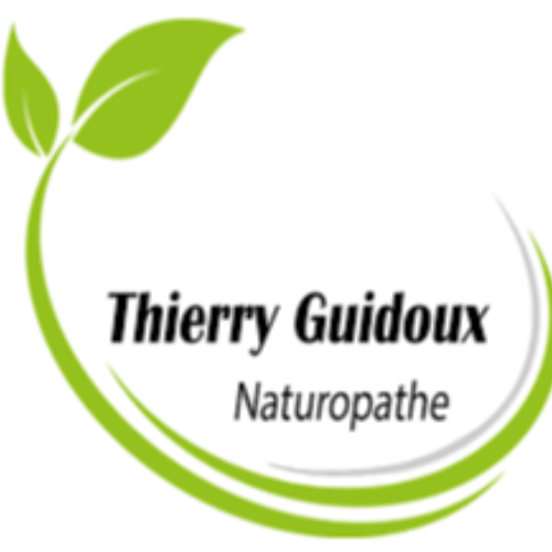 Thierry Guidoux