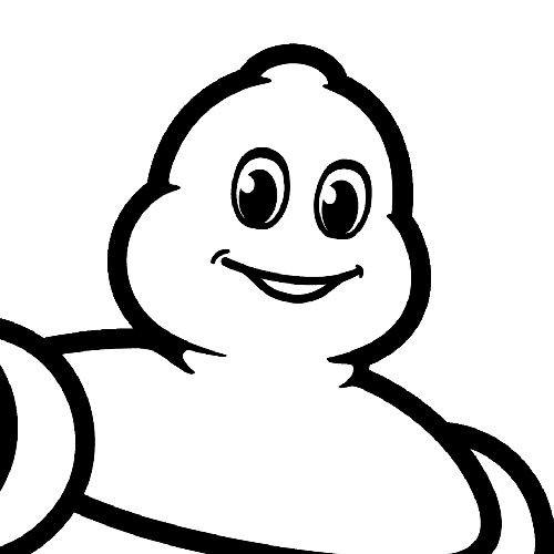 CSE MICHELIN