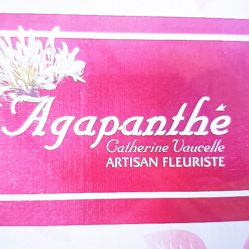 AGAPANTHE