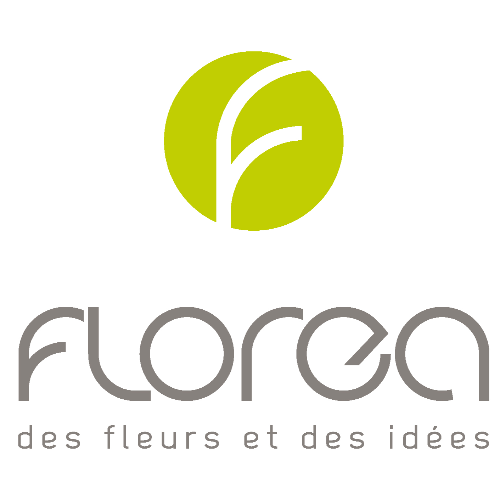 Florea Limoges