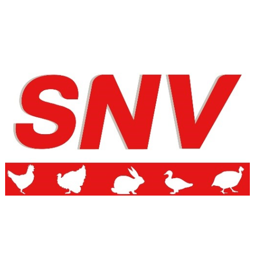 SNV